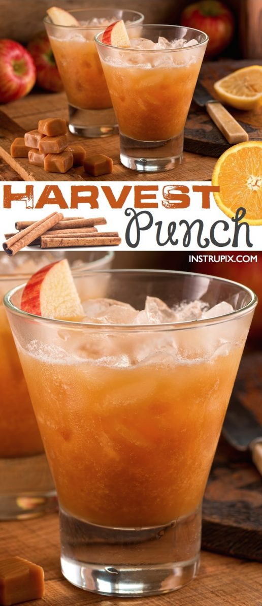 The BEST Fall Punch Recipe For Parties (Simple & Delish!)