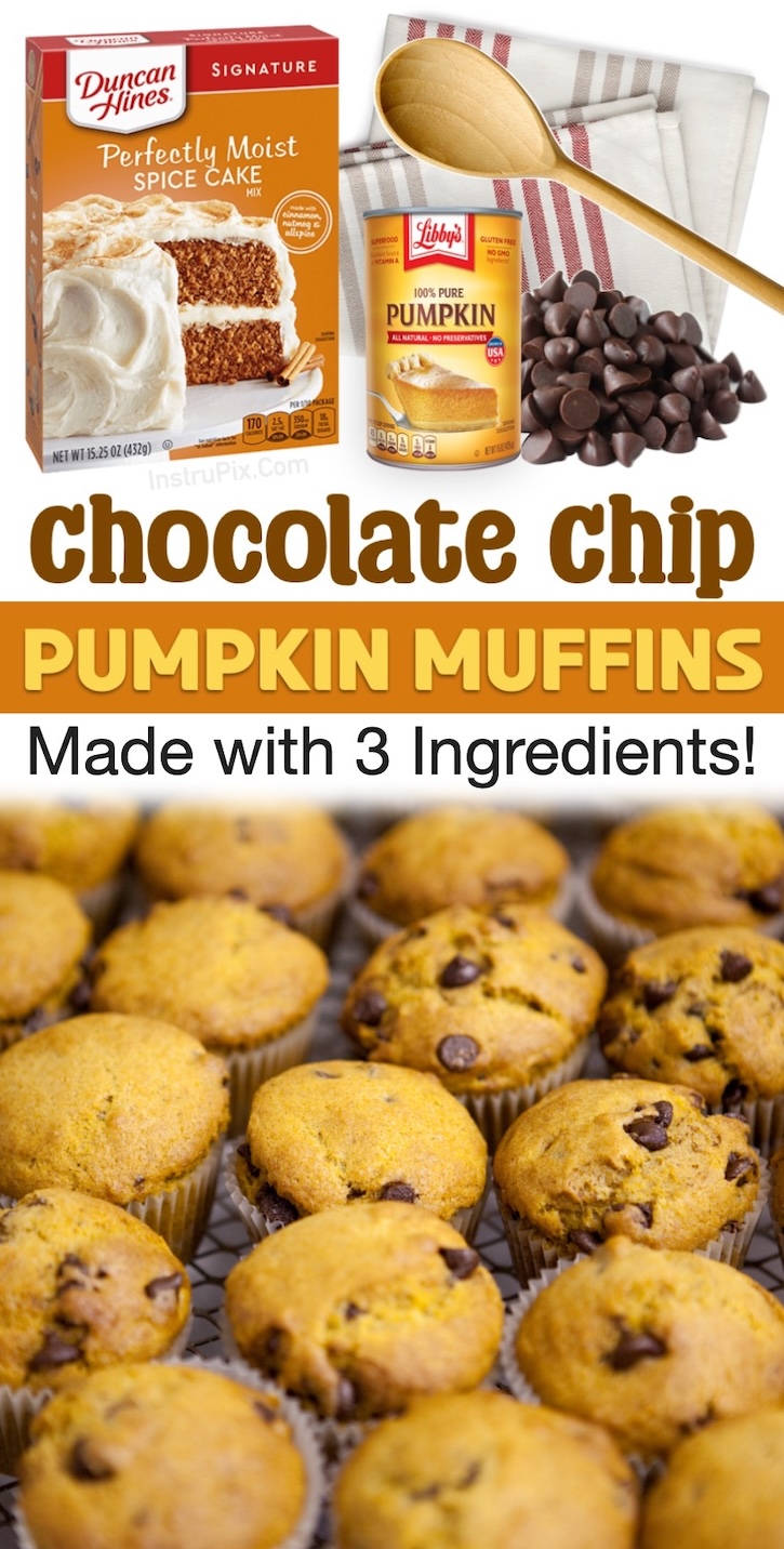 3 Ingredient Chocolate Chips Pumpkin Muffins for Fall! A yummy treat for Halloween and Thanksgiving. Make these easy muffins as gifts for your friends and family over the holidays. Super quick and easy to make yet tastes like something you'd get at a bakery!