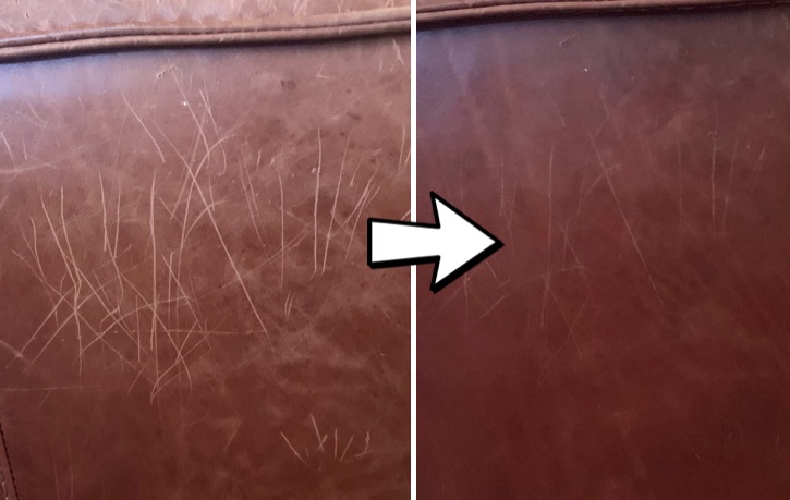 cat scratching leather couch